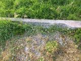 image of grave number 676717